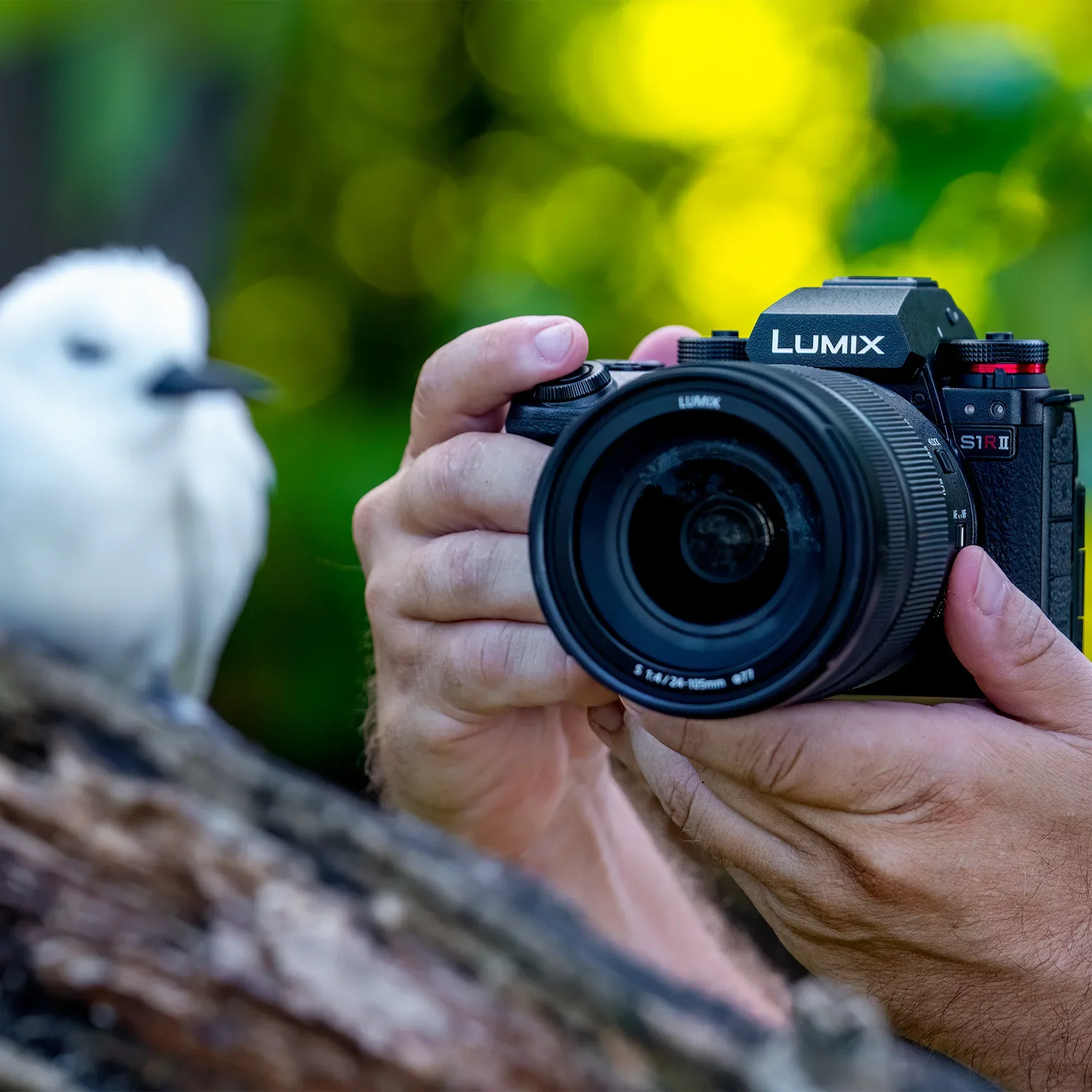 12-lumix-s1rii-full-frame-mirrorless-digital-camera-dc-s1rm2-2.webp LUMIX S1RII Full Frame Mirrorless Digital Camera – DC‑S1RM2